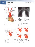 Sobotta  Atlas of Human Anatomy  Trunk, Viscera,Lower Limb Volume2 2006, page 121